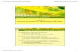 Analisi di bilancio: redditività e finanzacorsiadistanza.polito.it/on-line/Economia_II/pdf/C1.pdf · L’assimilazione del corso di Economia ed organizzazione aziendale I In particolare