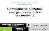 Cambiamenti climatici, energie rinnovabili e sostenibilità · (Organizzazione Meteorologica Mondiale) IPCC (Intergovernmental Panel on Climate Change) COP ... ISTITUTUZIONALE ORGANISMO