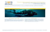 SCOPRI la subacquea - Mare Nostrum Divingmarenostrumdiving.it/immagini sito/accessori/Allegati PDF/CorsiPAD… · Quando conosci meglio le simbiosi, l’ecologia subacquea e gli ambienti