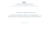 Fondo di Sviluppo e Coesione – Ciclo 2007-2013 Le Assegnazioni … · Dossier di approfondimento ... delle strutturali difficoltà amministrative e attuative delle Regioni meridionali.