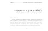 Capitolo 1 Fisiologia e modellistica dei muscoli scheletrici - Capitolo 1.pdf · Capitolo 1 Fisiologia e modellistica dei muscoli scheletrici Fig 1.2 A. Ricostruzione tridimensionale