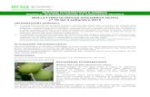 Bollettino difesa olivo n. 19 del 4 settembre 2015difesafitosanitaria.ersa.fvg.it/difesa-e-produzione... · infestanti” del 22 aprile 2015, è consultabile e scaricabile sul sito