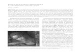 Leonardo da Vinci e Giovannina - Diego Cuoghi · PDF file 2009. 7. 20. · Leonardo da Vinci e Giovannina Il “viso fantasticho” che colpì l’artista Diego Cuoghi * Recentemente