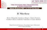 Nessun titolo diapositiva - AMPELOS Italia · 2019. 4. 28. · Merlese: principali parametri compositivi del vino a confronto con i parentali. Medie 2001-2002 Analisi chimiche Sangiovese