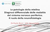 Le patologie della mielina Diagnosi differenziale delle ... · del sistema nervoso periferico. Il ruolo della neurofisiologia Dr.Paolo Buzzi UOC Neurologia ASST Mantova Cremona ,