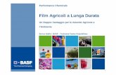 Film Agricoli a Lunga durata · 2013. 10. 11. · 9 Film di copertura Considerazioni economiche 0 2000 4000 6000 8000 10000 12000 14000 16000 18000 20000 € / H a / 3 a n n i 12