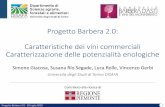 Progetto Barbera 2.0 ... - Sapori del Piemonte€¦ · Castagnole Monferrato 15,5 6,3 27,4 432 1355 Progetto Barbera 2.0 - 20 luglio 2018 19 I risultati evidenziano una eterogeneità