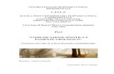 Tesi - CIICS · 2017. 3. 17. · Tesi “COMUNICAZIONE ... Papiro magico demotico di Londra e di Leida (Manoscritto 10070 del British Museum e Manoscritto 1383 del Museo di Leida).