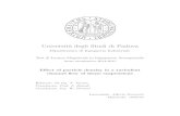 Universita degli Studi di Padovatesi.cab.unipd.it/48146/1/FORMENTI_ALBERTO.pdf · mia Venere scalza per te l’inchiostro e in o erta. ... This project aims to study the impact of