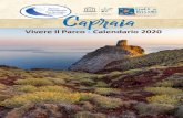Capraia - parcoarcipelago.info · Geo-giro in barca: escursione geologica alla Jules Verne nella vulcanica Capraia (Vedi 17 giugno). Lunedì 6 LuGLIo trekking del Km0 a Capraia: coltivare