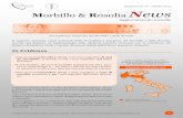 Rapporto N° 20 - Ottobre 2015 Morbillo & Rosolia News · Rapporto N° 20 - Ottobre 2015 Sorveglianza Integrata del Morbillo e della Rosolia Morbillo: Risultati Nazionali, Italia
