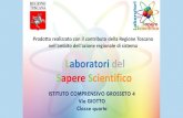 Laboratori del Sapere Scientifico...Laboratori del Sapere Scientifico Prodotto realizzato con il contributo della Regione Toscana nell'ambito dell'azione regionale di sistema ISTITUTO