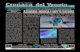 Cronaca del Veneto 2019. 9. 24.آ  Quotidiano on-line di Belluno, Padova, Rovigo, Treviso, Venezia, Verona,