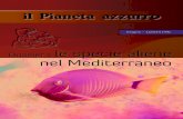 Dossier le specie aliene nel Mediterraneoidratools.org/dajoomla/wp-content/uploads/2014/11/numero 1 Paz_gi… · Supplemento al n. 202-203 di .eco, l’educazione sostenibile Registrazione