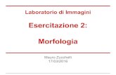 Esercitazione 2: Morfologia - Profs Area Scienze ed Ingegneriaprofs.scienze.univr.it/~zucchelli/Esercitazione_2/Es_lab_img_02.pdf · Esercitazione 2: Morfologia Mauro Zucchelli 17/03/2016.