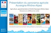 Présentation du panorama agricole Auvergne-Rhône …Agreste - Panorama Auvergne-Rhône-Alpes Présentation du panorama agricole Auvergne-Rhône-Alpes Cette présentation est issue