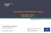 Il Progetto LIFE BIOCLOC: sintesi - Gida Spa · 2017. 3. 9. · IL CONTESTO L'eccessiva presenza di azoto e fosforo nei corpi idrici superficiali provoca problemi ambientali come