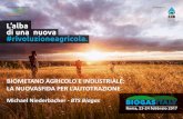 BIOMETANO AGRICOLO E INDUSTRIALE - Biogas Italy · © BTS Biogas | 2017 1 BIOMETANO AGRICOLO E INDUSTRIALE: LA NUOVASFIDA PER L’AUTOTRAZIONE Michael Niederbacher - BTS Biogas