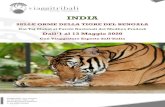 INDIA...2020/05/13  · 11 GIORNO: LUNEDÌ 11 MAGGIO 2020, KANHA NP (FB) (Jungle Safari) Il Kanha National Park è un luogo molto evocativo, lo stesso che ispirò la stesura de “Il