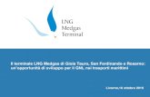 Progetto LNG MEDGAS · 2017. 7. 7. · Tauro I consumi attuali del porto di Gioia Tauro sono dovuti per il 97% al traffico di navi portacontainer Si noti che attualmente il porto