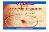ser280 - Associazione Italiana Celiachia Calabria Onlus 16 Novembre 2013...ProfeŠsore ordinario di Gastroentoro/ogia Università di Catanzaro Magna Grecña "La Celiachia in Calabria: