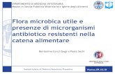 Flora microbica utile e presenze di microrganismi antibiotico ......antibiotici ma che possono essere esposti attraverso l'ambiente. • E’ nota la persistenza di alcuni antibiotici,