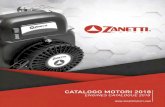 Lo storico marchio - Zanetti Motori The historical brand Zanetti Motori was founded in the 60 s in Bologna,