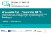 Linee guida PMI Programma ES-PA...Linee guida PMI – Programma ES-PA L’audit energetico del 2015: risultati e analisi; Le nuove linee guida per l’audit del 2019 (obblighi, imprese
