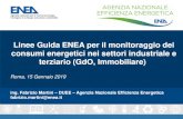Linee Guida ENEA per il monitoraggio dei consumi energetici ......11 Linee Guida ENEA per il monitoraggio dei consumi energetici nei settori industriale e terziario Monitoraggio Industria: