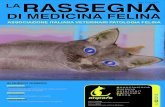 DI MEDICINA FELINA · 2014. 5. 19. · paraneoplastica felina, l’eritroderma esfoliativo del gatto e la pannicolite necrotizzante (1). IPERADRENOCORTICISMO FELINO Che cos’è la