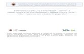 Comitato provinciale di Coordinamento in materia di Salute e ......3 1. Le Linee guida sui servizi estivi Le presenti “Linee guida della Provincia autonoma di Trento per la gestione