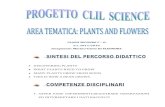 CLASSI SECONDE C a.s. 2017/2018 Insegnante: Mariacristina ......classi seconde c – d a.s. 2017/2018 insegnante: mariacristina di eleonora discovering plants what plants need to grow