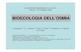 BIOECOLOGIA DELL’OSMIA - Arpae...1Dipartimento di Biologia E.S. – Università di Bologna, via Irnerio 42, 40126 Bologna 2Gruppo CSA S.p.A., via al torrente 22, 47900 Rimini 3Associazione