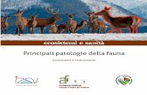 ecosistemi e sanità - Istituto Zooprofilattico...Accademia Ambiente Foreste e Fauna del Trentino Fondazione Edmund Mach Via E. Mach, 1 I-38010 S. Michele all’Adige (TN) Italy In