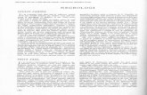 1948 serie IV - Bollettino d'Arte · 2016. 4. 11. · di Siniihe (1921), come pure di geografia in: Contributo alla geografia dei Il Paesi barbari meridionali" dell' Antico Egitto