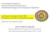 Università di Palermo Scuola di Specializzazione in ... · La terapia delle fistole nelle malattia di Crohn Il trattamento delle fistole richiede un approccio integrato medico-chirurgico.
