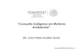 Consulta Indígena en materia ambiental.€¦ · “Consulta Indígena en Materia Ambiental” (Dr. Juan Pablo Gudiño Gual) juan.gudino@semarnat.gob.mx