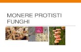 Monere Protisti FunghiMonere Protisti Funghi Author: Margherita Rigoni Created Date: 1/20/2014 9:42:17 PM ...