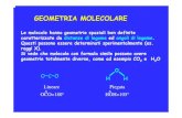 GEOMETRIA MOLECOLARE · 2018. 3. 29. · La geometria molecolare vera e propria si riferisce alle posizioni degli atomi e non delle coppie solitarie. Essa è quindi determinata direttamente