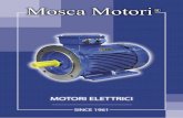 Mosca MotoriMosca Motori® - Biassono (MB) Italy - 1 CARATTERISTICHE GENERALI GENERAL CHARACTERISTICS I motori della serie Emc-Italy sono costruiti in lega d’alluminio dalla grandezza
