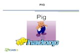 PIG - CRS4dassia.crs4.it/wp-content/uploads/2014/11/Slide_PIG.pdf · 2015. 2. 10. · Pig Pig-Latin: un dataflow language Il linguaggio Pig-Latin è stato sviluppato per consentire