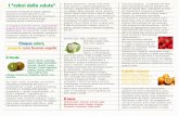 I “colori della salute” - Ior RomagnaI “colori della salute” Cinque colori, proprio una buona regola Il Verde Alcune esempi: Asparagi, Basilico, Bieta, Broccolletti, Broccoli,