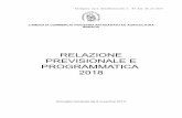 RELAZIONE PREVISIONALE E PROGRAMMATICA 2010 · Finanze ha adottato il D.M. 27 marzo 2013 “Criteri e modalità di predisposizione del budget economico delle Amministrazioni pubbliche