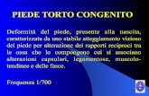 PIEDE TORTO CONGENITO · 2020. 7. 23. · PIEDE TORTO CONGENITO Deformità del piede, presente alla nascita caratterizzata da uno stabile atteggiamento vizioso del piede per alterazione
