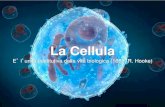 La Cellula - RES ... 2012/10/12 ¢  La Cellula Omnis cellula e cellula (1858, R. Virchow) Organismo Multicellulare