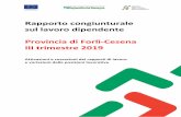 Rapporto congiunturale sul lavoro dipendente Provincia di ......Nel corso del terzo trimestre 2019, in provincia di Forlì-Cesena, si è rilevata una crescita, su base sia congiunturale