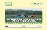 SICUREZZA SUL LAVORO IN AGRICOLTURA · 2019. 12. 13. · SICUREZZA SUL LAVORO IN AGRICOLTURA n1 IntroduzIone In Regione Lombardia l’agricoltura, con oltre ben 1 milione di ettari
