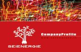 CompanyProfile - Seienergie...• Supporto per la qualifica SEU-SEESEU degli impianti • Supporto per la qualifica CAR degli impianti di cogenerazione e trigenerazione • Consulenza