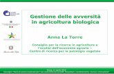 Gestione delle avversità in agricoltura biologicasinab.it/sites/default/files/share/16_La_Torre_CRA.pdf · 2015. 6. 11. · del SINAB, del CRA e della RIRAB. La sua divulgazione