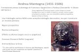 Andrea Mantegna (1431-1506) · 2018. 10. 18. · Andrea Mantegna (1431-1506) Formazione presso la bottega di Francesco Squarcione a Padova (Donatello → Altare del Santo ) Linea